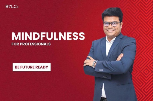 Mindfulness for Professionals